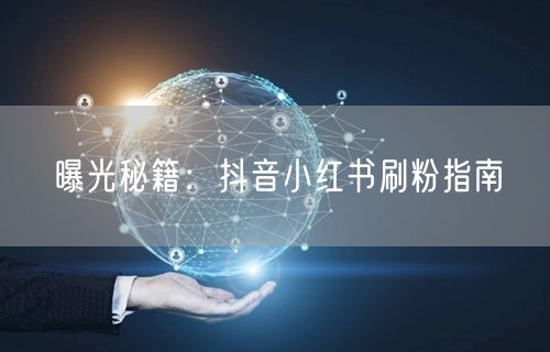 曝光秘籍：抖音小红书刷粉指南