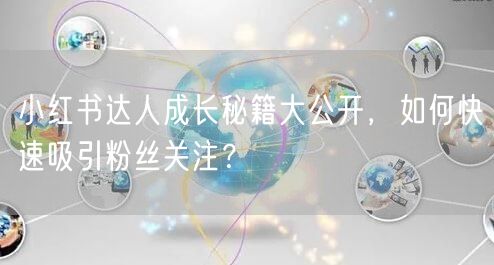 小红书达人成长秘籍大公开，如何快速吸引粉丝关注？