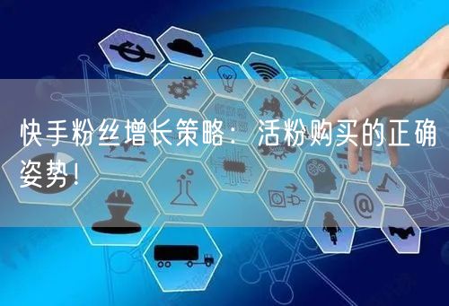 快手粉丝增长策略:活粉购买的正确姿势!