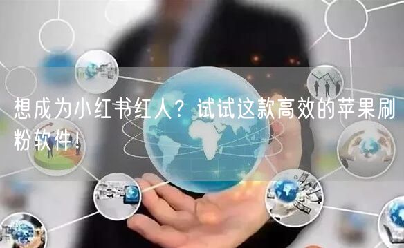 想成为小红书红人?试试这款高效的苹果刷粉软件!