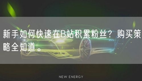 新手如何快速在B站积累粉丝？购买策略全知道。