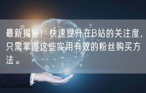 最新揭秘!快速提升在B站的关注度,只需掌握这些实用有效的粉丝购买方法。