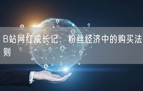 B站网红成长记:粉丝经济中的购买法则