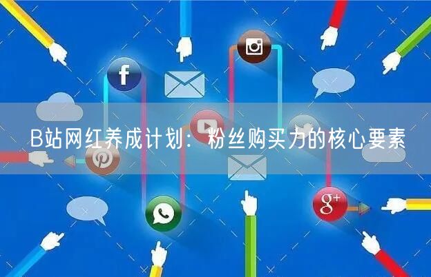 B站网红养成计划:粉丝购买力的核心要素