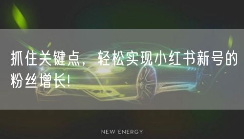 抓住关键点，轻松实现小红书新号的粉丝增长!
