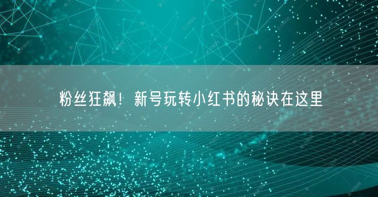 粉丝狂飙！新号玩转小红书的秘诀在这里