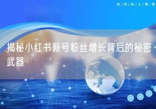 揭秘小红书新号粉丝增长背后的秘密武器