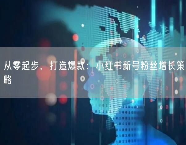 从零起步，打造爆款：小红书新号粉丝增长策略