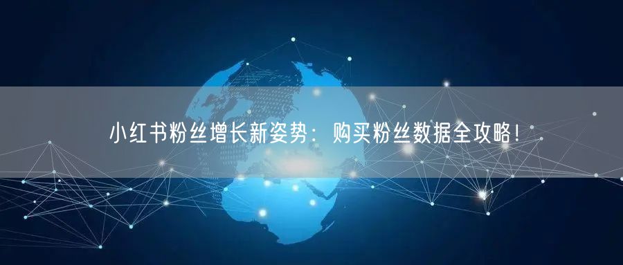 小红书粉丝增长新姿势：购买粉丝数据全攻略！