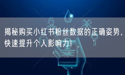 揭秘购买小红书粉丝数据的正确姿势，快速提升个人影响力！