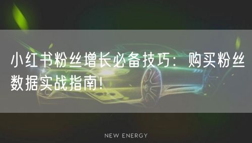 小红书粉丝增长必备技巧：购买粉丝数据实战指南！