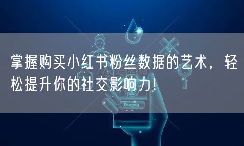 掌握购买小红书粉丝数据的艺术，轻松提升你的社交影响力！