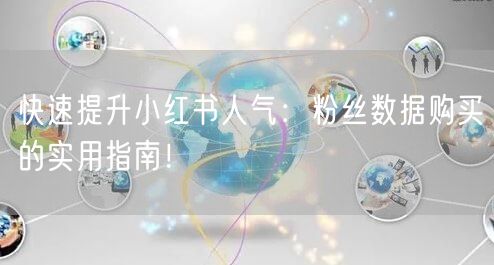 快速提升小红书人气：粉丝数据购买的实用指南！