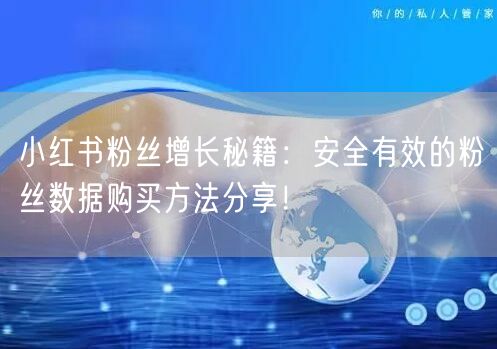 小红书粉丝增长秘籍：安全有效的粉丝数据购买方法分享！