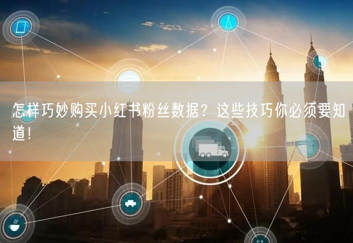 怎样巧妙购买小红书粉丝数据？这些技巧你必须要知道！