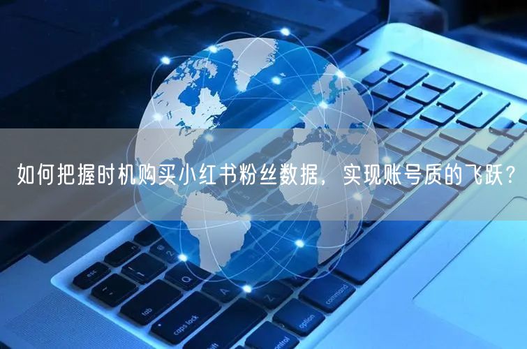 如何把握时机购买小红书粉丝数据，实现账号质的飞跃？