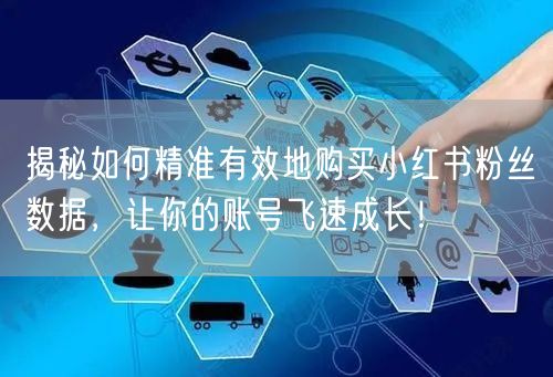 揭秘如何精准有效地购买小红书粉丝数据，让你的账号飞速成长！