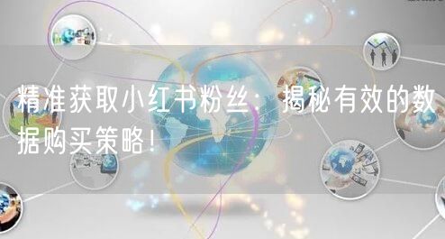 精准获取小红书粉丝：揭秘有效的数据购买策略！