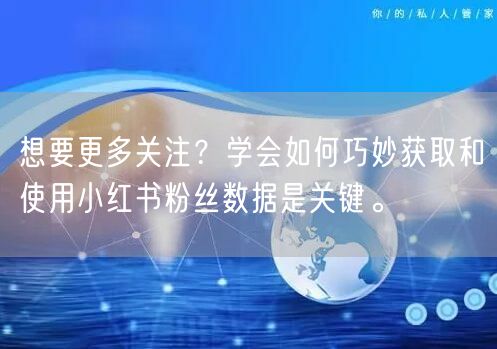 想要更多关注？学会如何巧妙获取和使用小红书粉丝数据是关键。