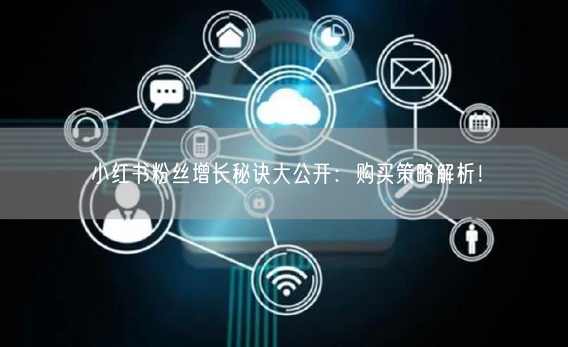 小红书粉丝增长秘诀大公开：购买策略解析！
