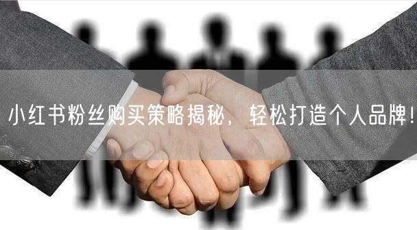 小红书粉丝购买策略揭秘，轻松打造个人品牌！