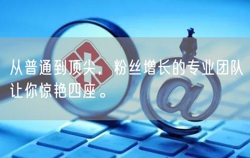 从普通到顶尖，粉丝增长的专业团队让你惊艳四座。