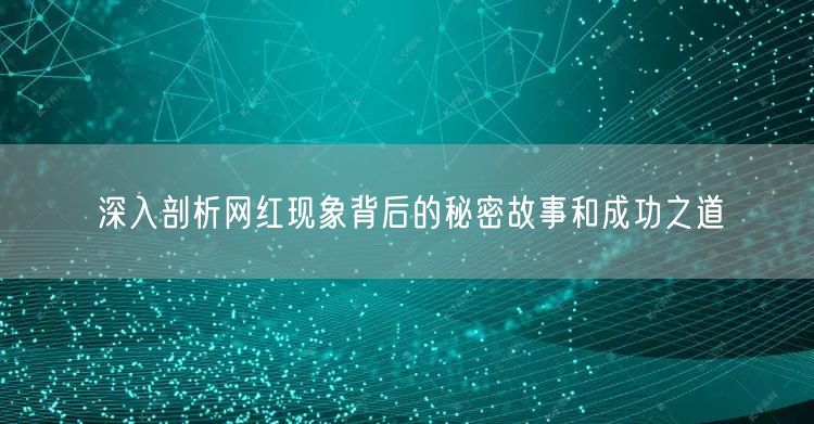 深入剖析网红现象背后的秘密故事和成功之道