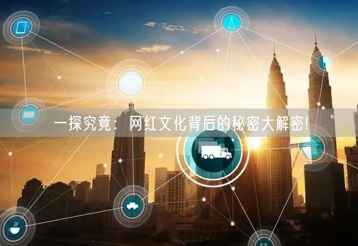 一探究竟：网红文化背后的秘密大解密!