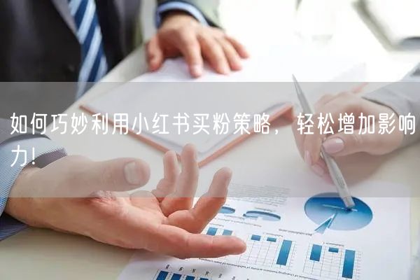 如何巧妙利用小红书买粉策略，轻松增加影响力！