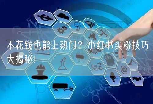 不花钱也能上热门？小红书买粉技巧大揭秘！