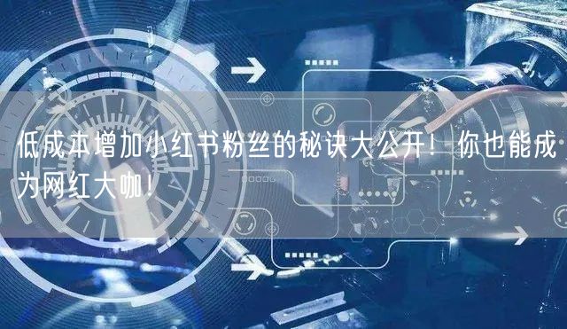 低成本增加小红书粉丝的秘诀大公开！你也能成为网红大咖！