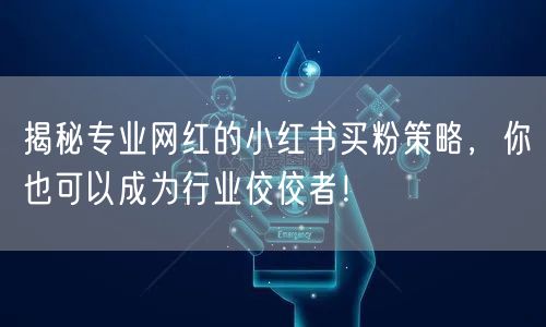 揭秘专业网红的小红书买粉策略，你也可以成为行业佼佼者！