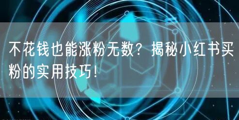 不花钱也能涨粉无数？揭秘小红书买粉的实用技巧！