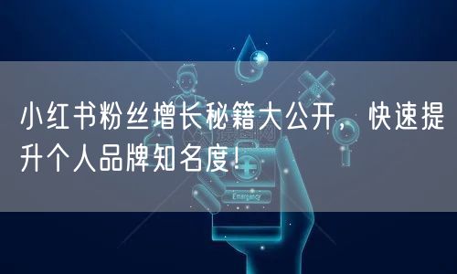 小红书粉丝增长秘籍大公开，快速提升个人品牌知名度！