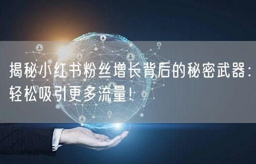揭秘小红书粉丝增长背后的秘密武器：轻松吸引更多流量！