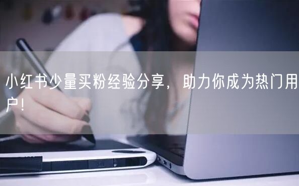 小红书少量买粉经验分享，助力你成为热门用户！
