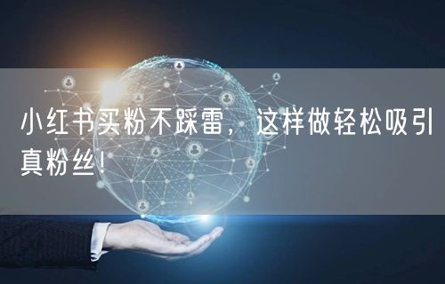 小红书买粉不踩雷，这样做轻松吸引真粉丝！