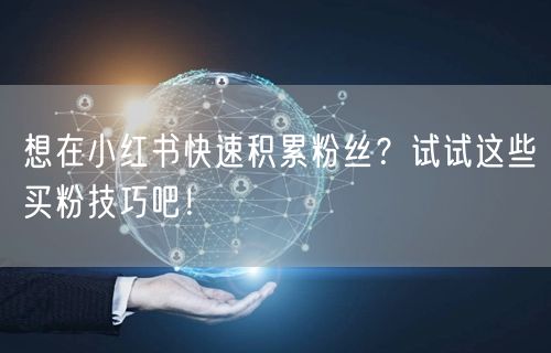 想在小红书快速积累粉丝？试试这些买粉技巧吧！