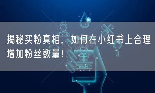 揭秘买粉真相，如何在小红书上合理增加粉丝数量！