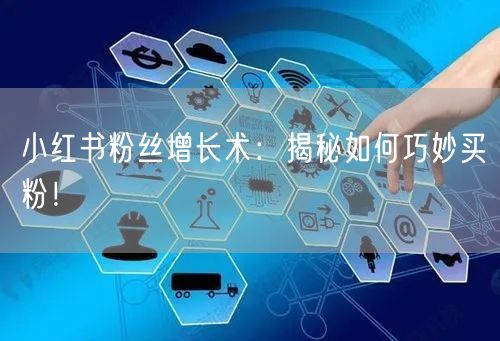小红书粉丝增长术：揭秘如何巧妙买粉！