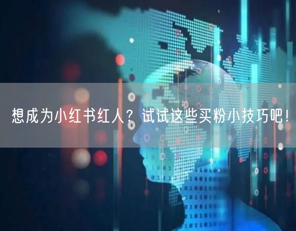 想成为小红书红人？试试这些买粉小技巧吧！