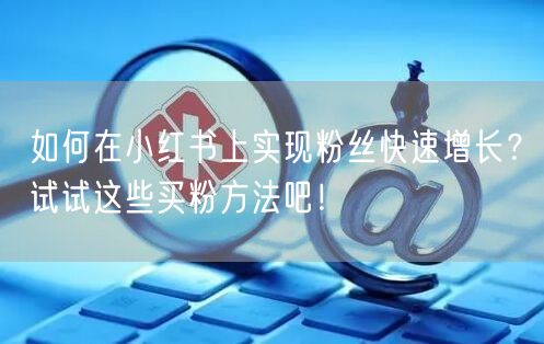 如何在小红书上实现粉丝快速增长？试试这些买粉方法吧！