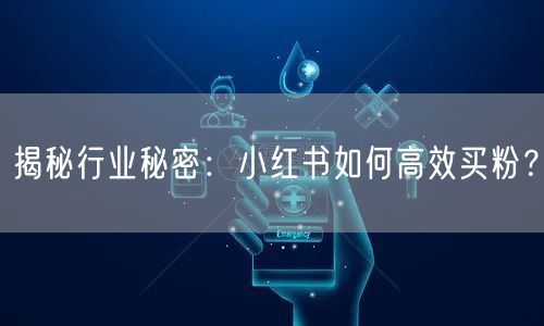 揭秘行业秘密：小红书如何高效买粉？