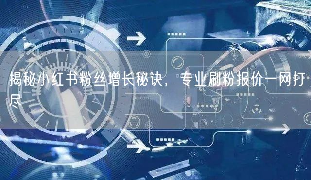 揭秘小红书粉丝增长秘诀，专业刷粉报价一网打尽