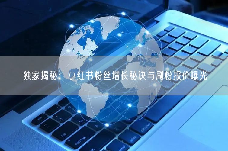 独家揭秘：小红书粉丝增长秘诀与刷粉报价曝光