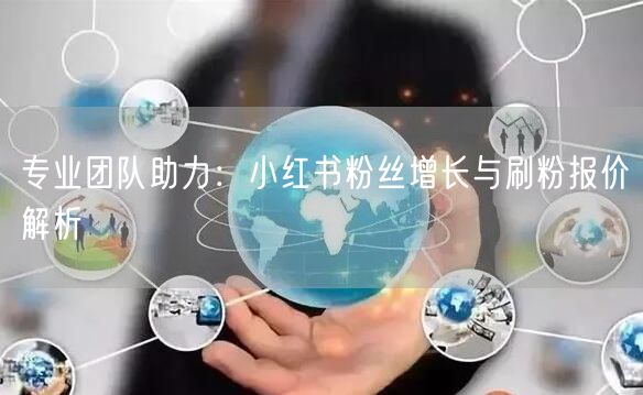 专业团队助力：小红书粉丝增长与刷粉报价解析