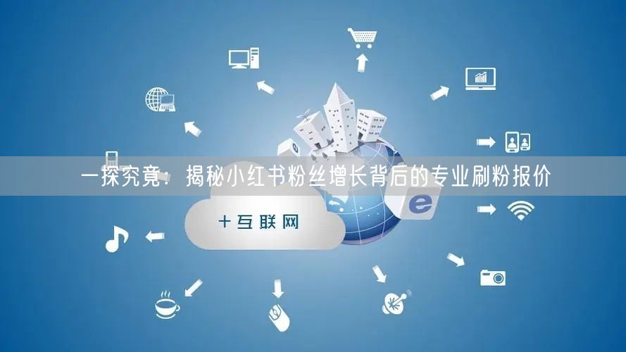 一探究竟：揭秘小红书粉丝增长背后的专业刷粉报价