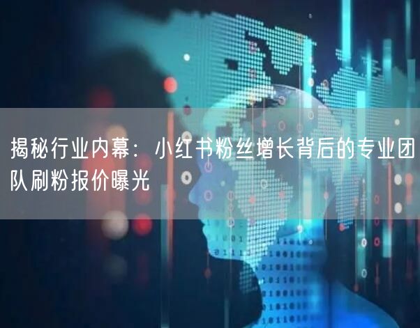 揭秘行业内幕：小红书粉丝增长背后的专业团队刷粉报价曝光