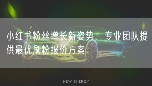 小红书粉丝增长新姿势，专业团队提供最优刷粉报价方案