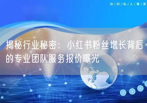 揭秘行业秘密：小红书粉丝增长背后的专业团队服务报价曝光